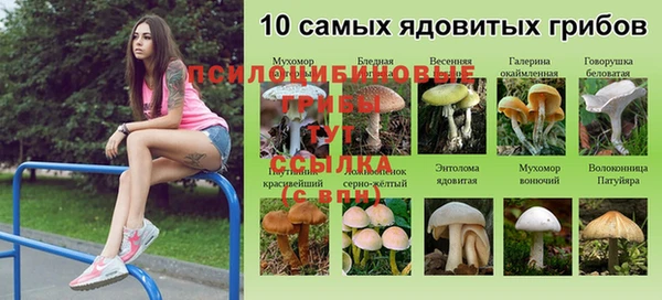 меф Белоозёрский