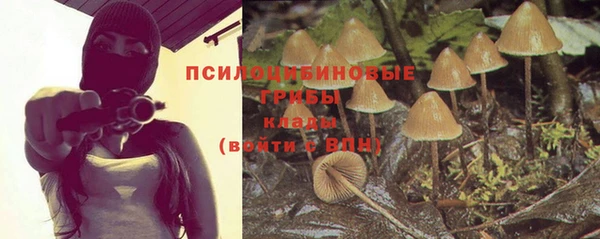 не бодяженный Белокуриха