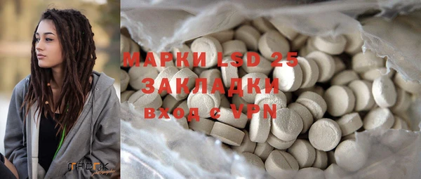 прущие грибы Сафоново