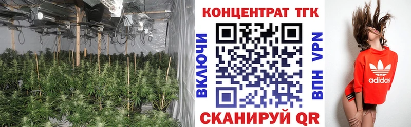 как найти закладки  Бородино  ТГК Wax 